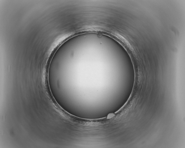 X0000115131277200911101639