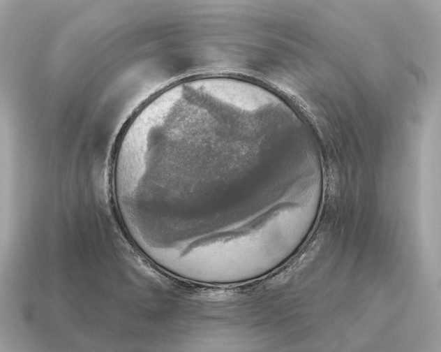X0000115131278200911101639