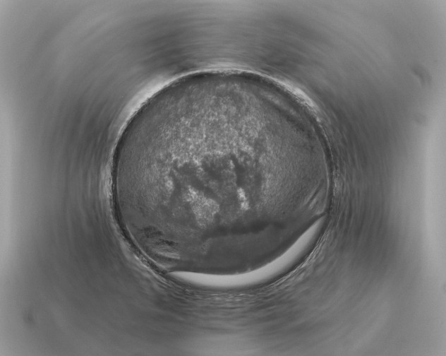 X0000115131279200911101639