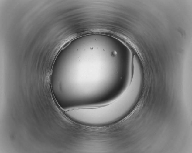 X0000115131281200911101639