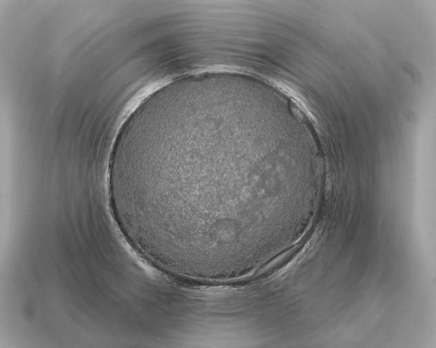 X0000115131282200911101639