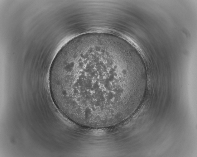 X0000115131283200911101639