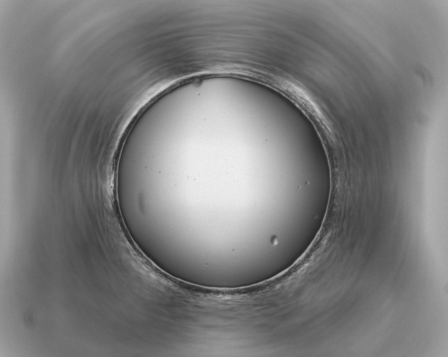 X0000115131284200911101639