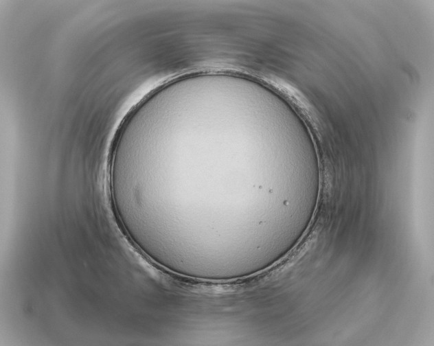 X0000115131286200911101639