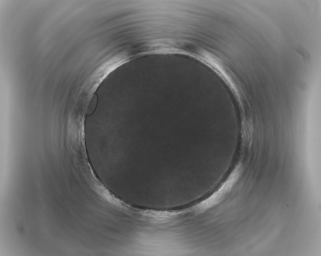 X0000115131289200911101639