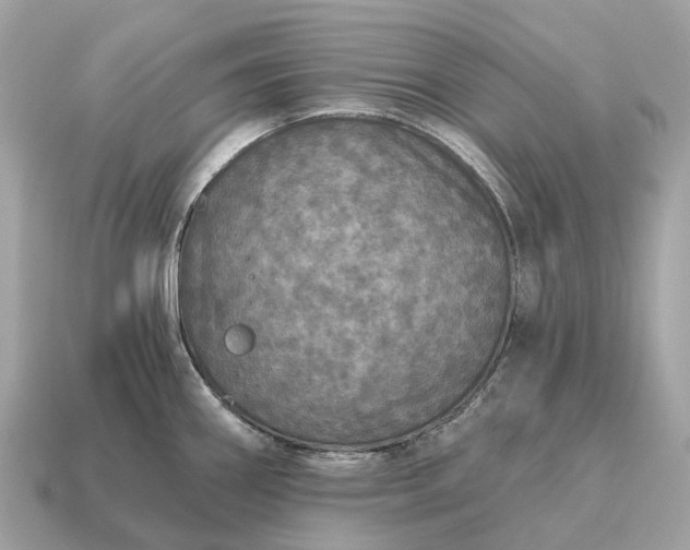 X0000115131290200911101639