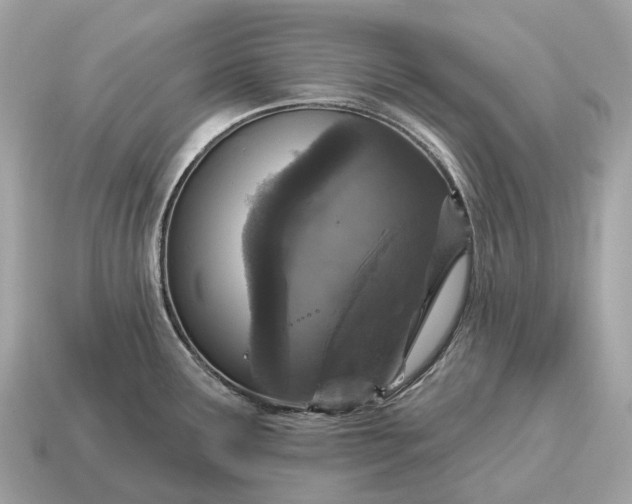 X0000115131291200911101639