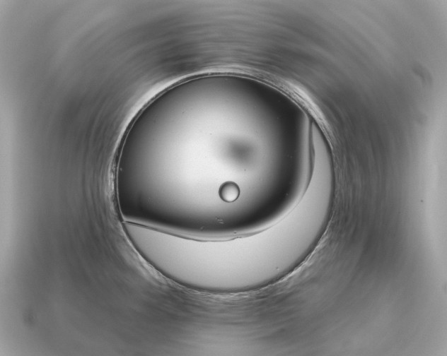 X0000115131292200911101639