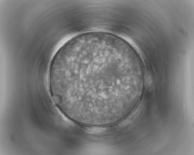 X0000115131294200911101639