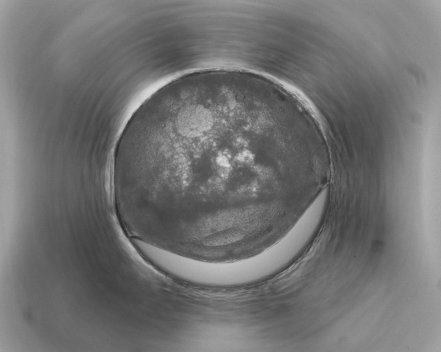 X0000115131295200911101639