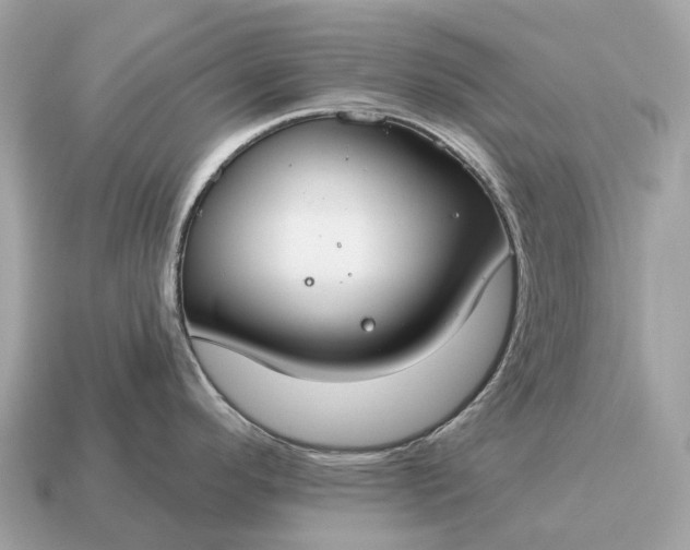 X0000115131296200911101639