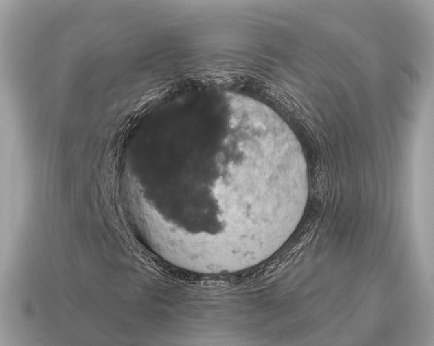 X0000115131297200911101639