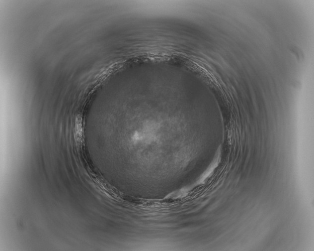 X0000115131298200911101639