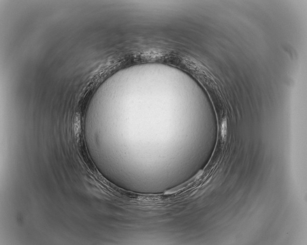 X0000115131299200911101639