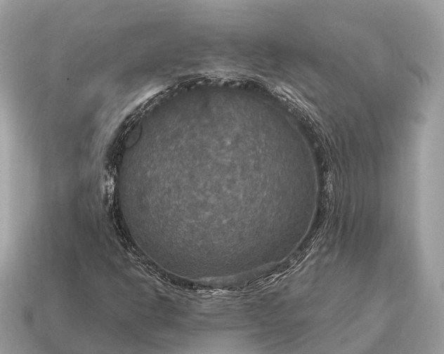 X0000115131302200911101639