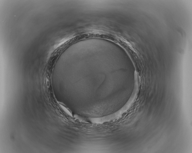 X0000115131303200911101639