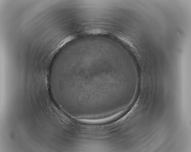 X0000115131305200911101639