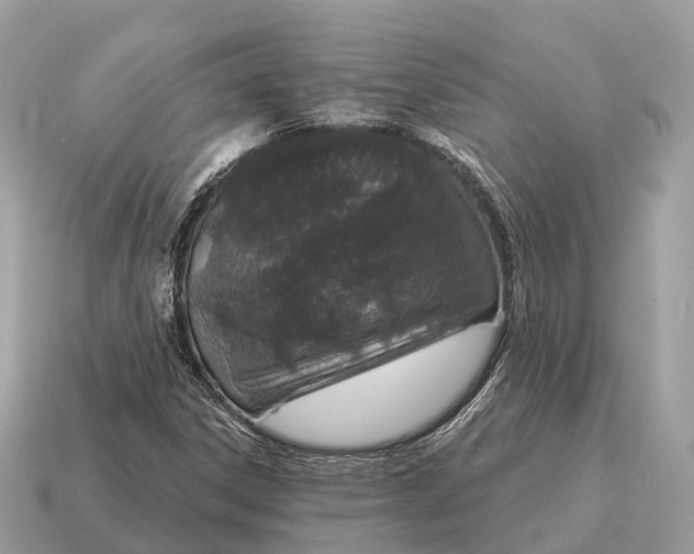 X0000115131306200911101639