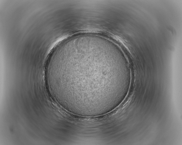 X0000115131307200911101639