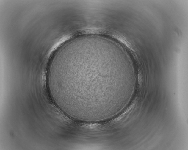X0000115131309200911101639