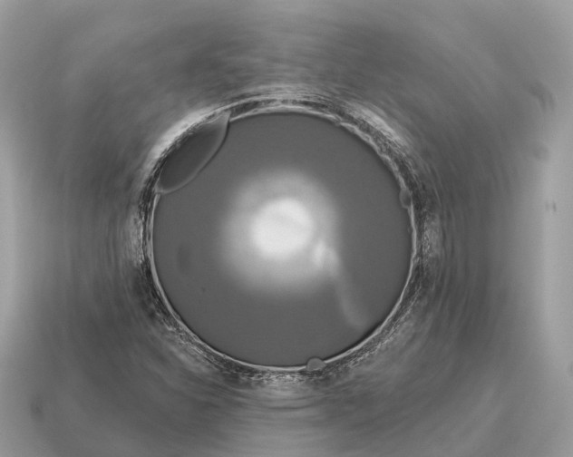 X0000115131310200911101639
