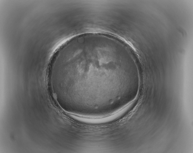 X0000115131311200911101639