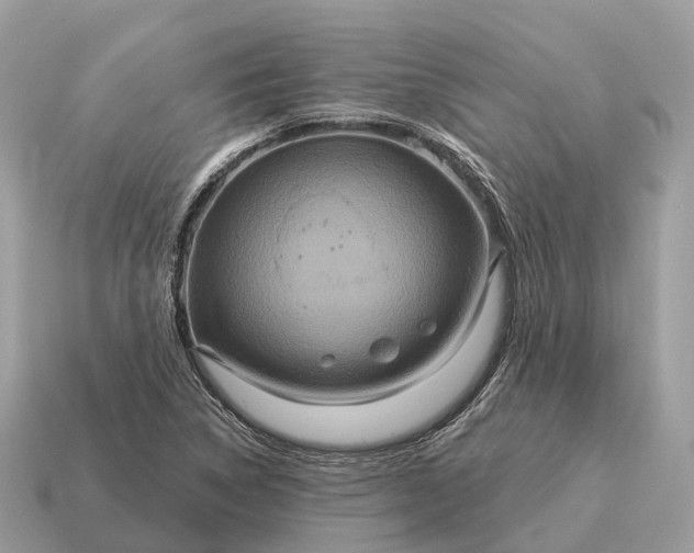 X0000115131314200911101639
