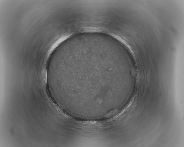 X0000115131317200911101639