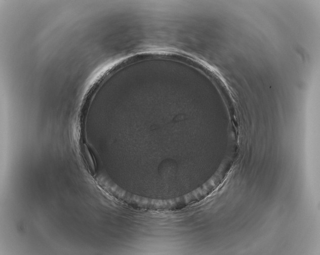 X0000115131319200911101639