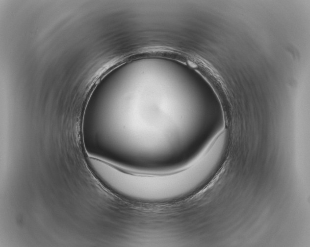 X0000115131321200911101639