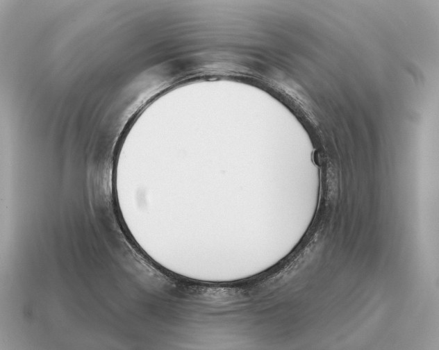 X0000115131322200911101639
