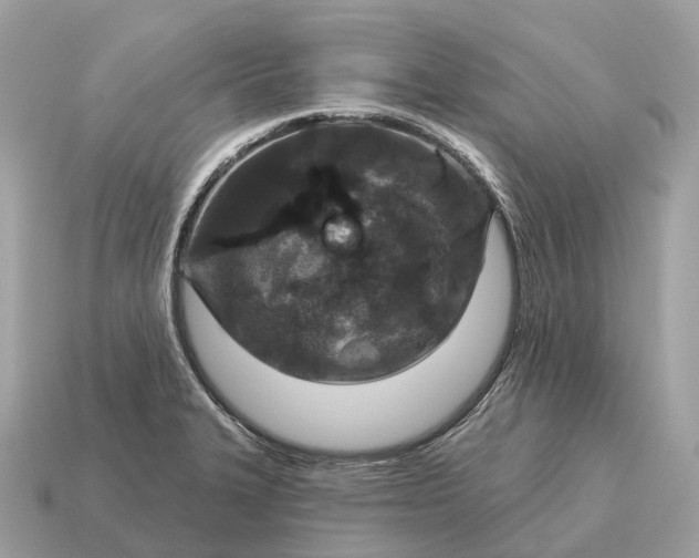 X0000115131327200911101639