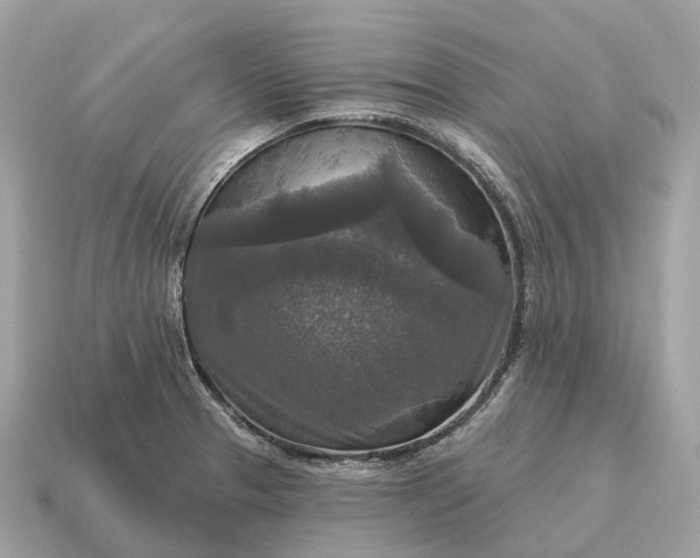 X0000115131329200911101639