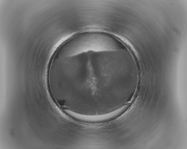 X0000115131333200911101639