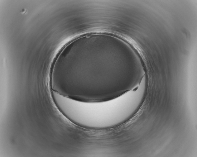 X0000115131334200911101639