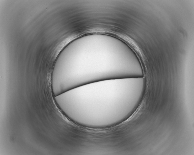 X0000115131337200911101639