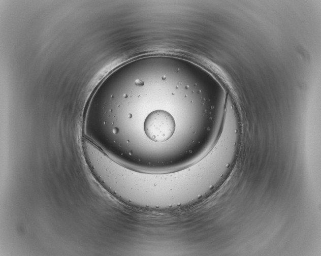 X0000115131338200911101639