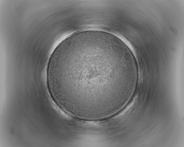 X0000115131341200911101639