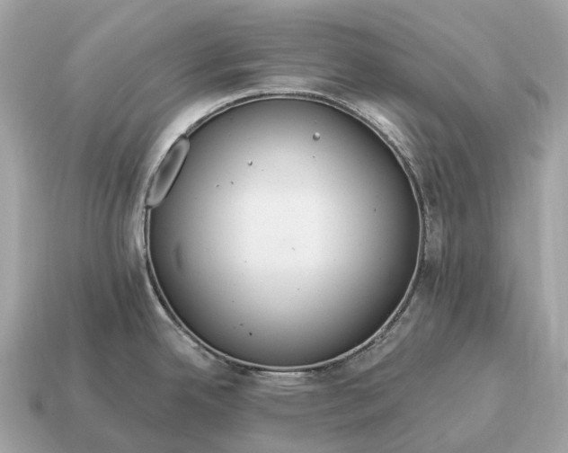 X0000115131342200911101639