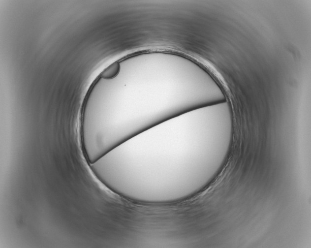 X0000115131343200911101639