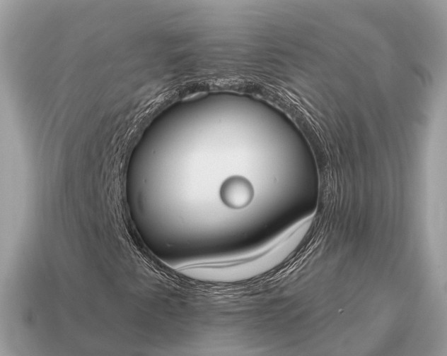 X0000115131345200911101639