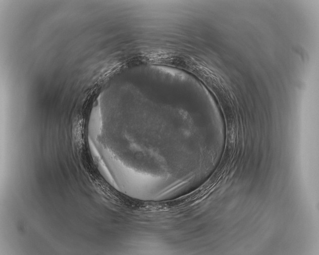X0000115131346200911101638