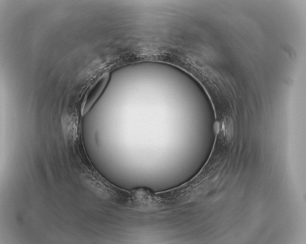 X0000115131348200911101638