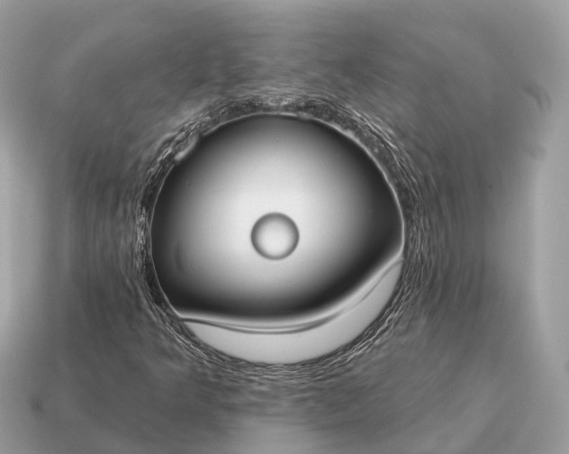 X0000115131349200911101638