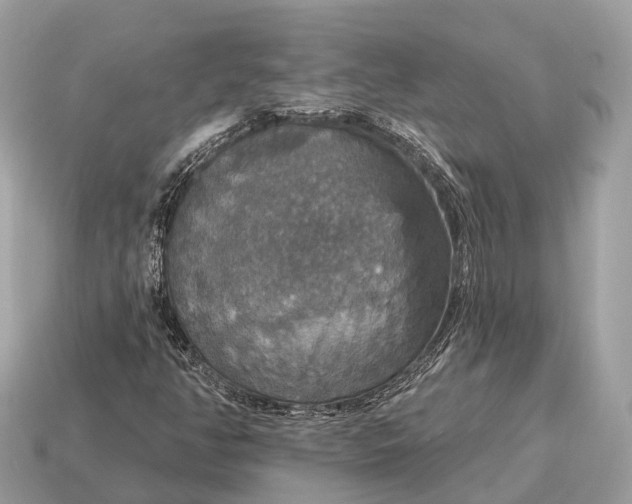 X0000115131350200911101638
