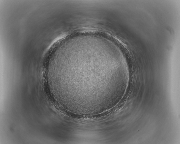 X0000115131351200911101638