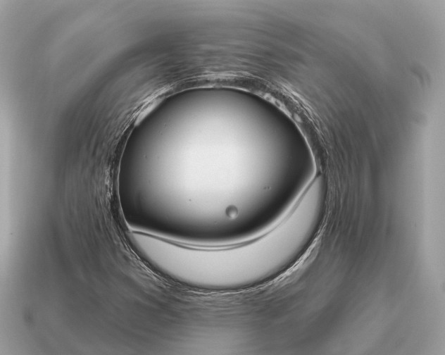 X0000115131353200911101638