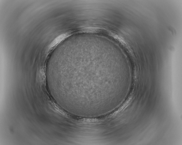 X0000115131354200911101638