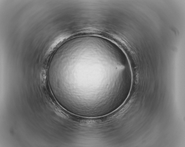 X0000115131355200911101638