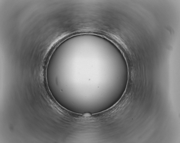 X0000115131356200911101638